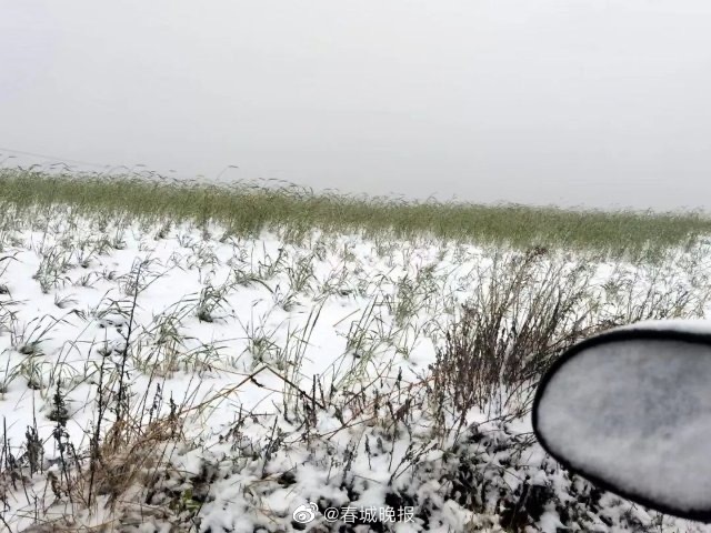 昆明已下雪！明天气温低至…