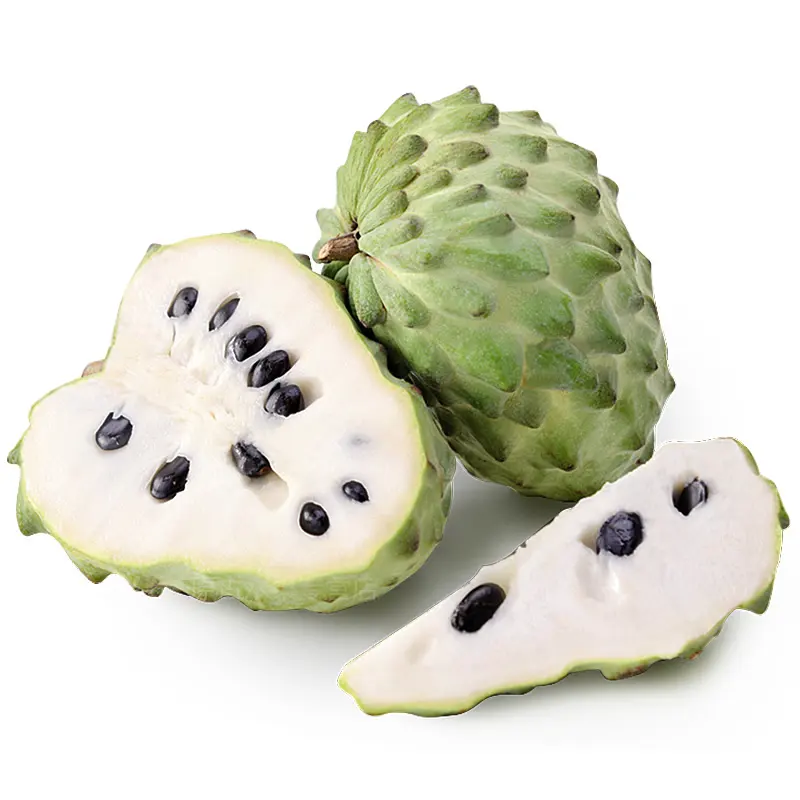 西双版纳望天树景区