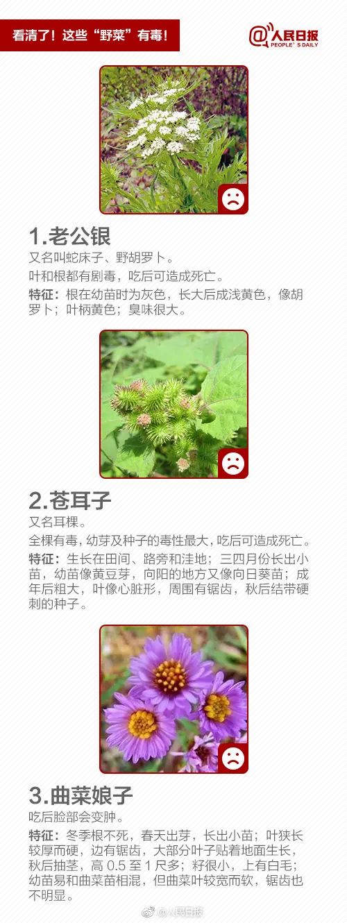 美丽云南微科普