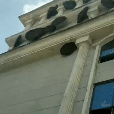 昆明信息港/cnkmxxg