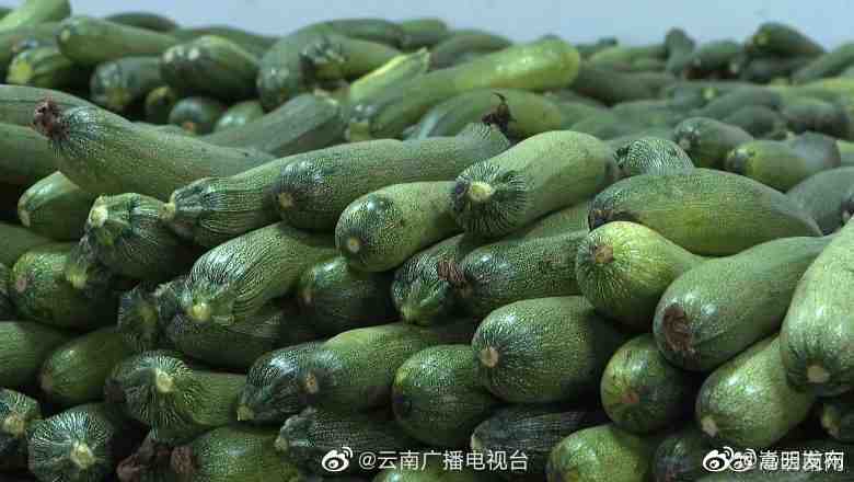 嵩明发布