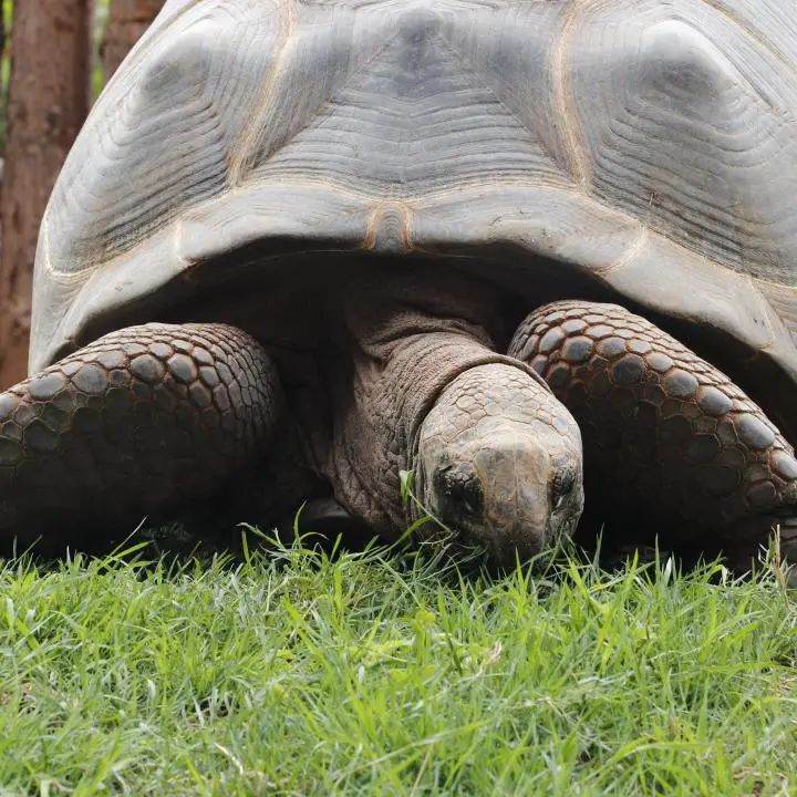 云南野生动物园