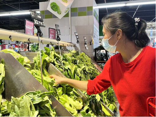 云南省人民政府网