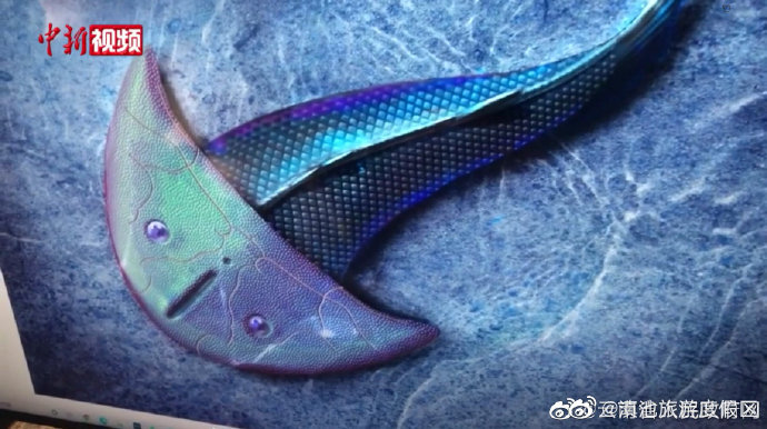 “滇池旅游度假区”微博