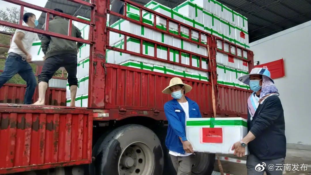 “云南发布”微博