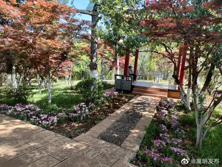 嵩明发布