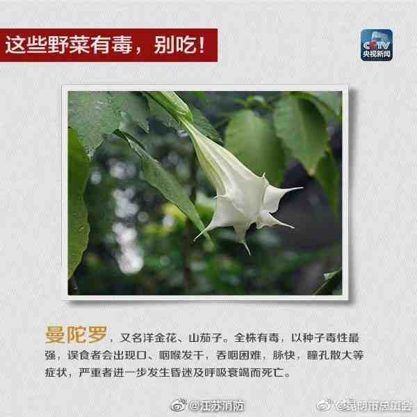 昆明市总工会