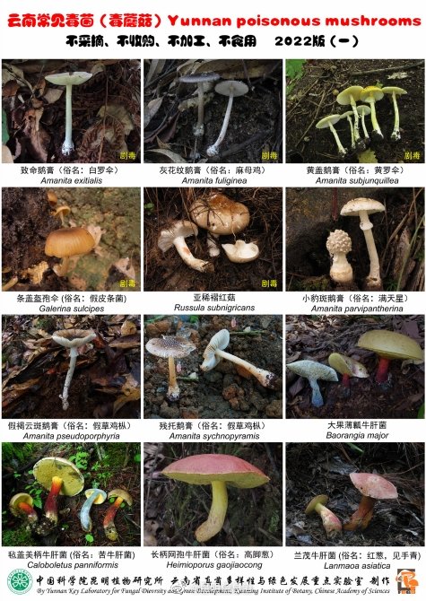 昆明信息港
