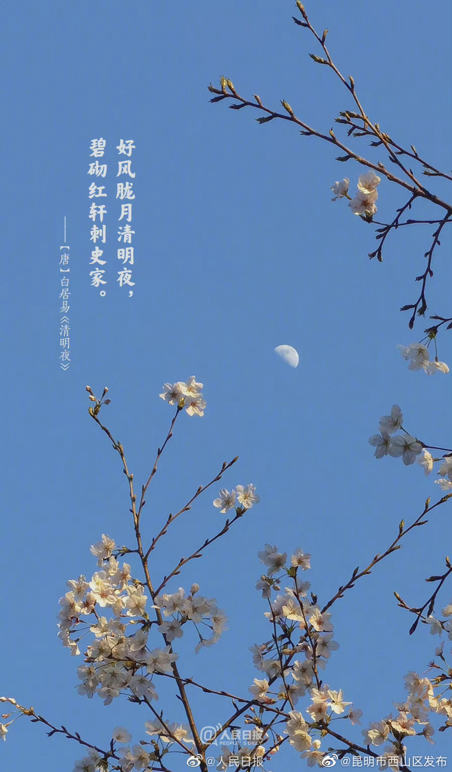 昆明市西山区发布