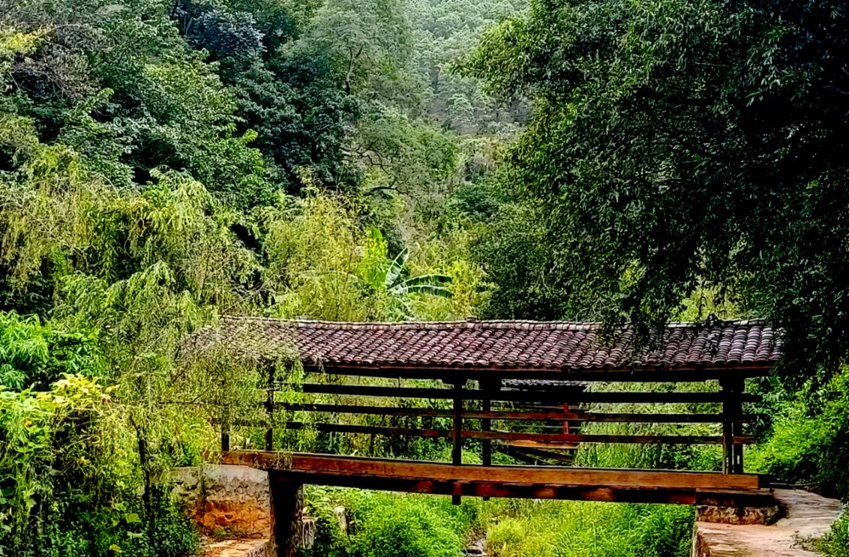 云南省文化和旅游厅