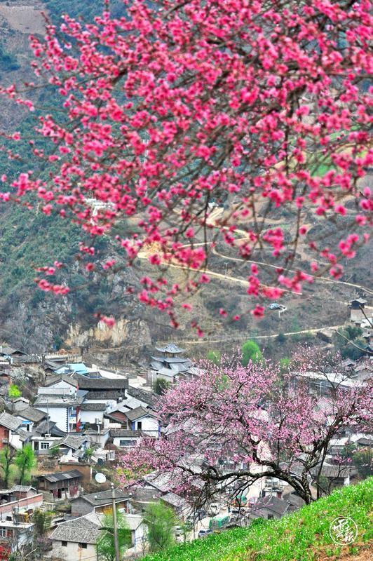 云南省文化和旅游厅
