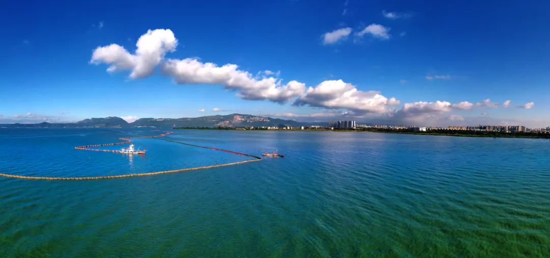 掌上春城微信公众号