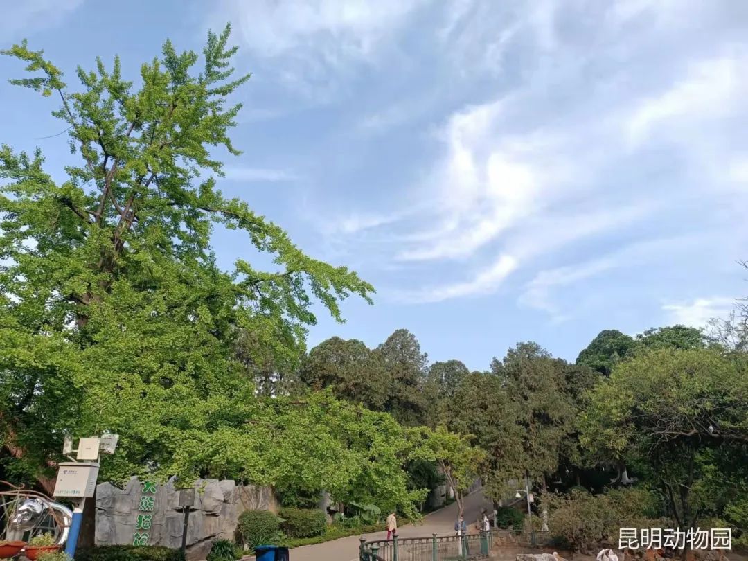 昆明动物园