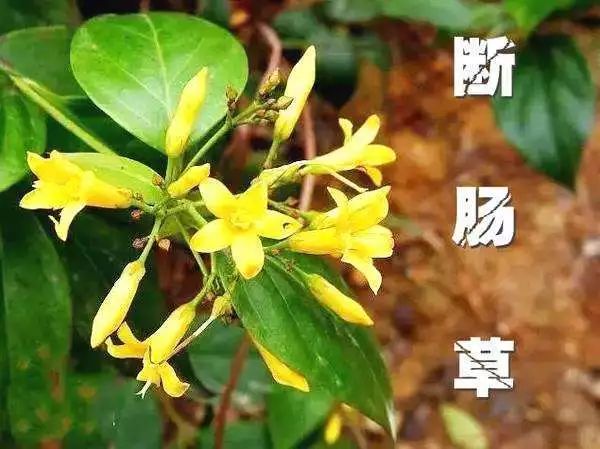 云南疾控