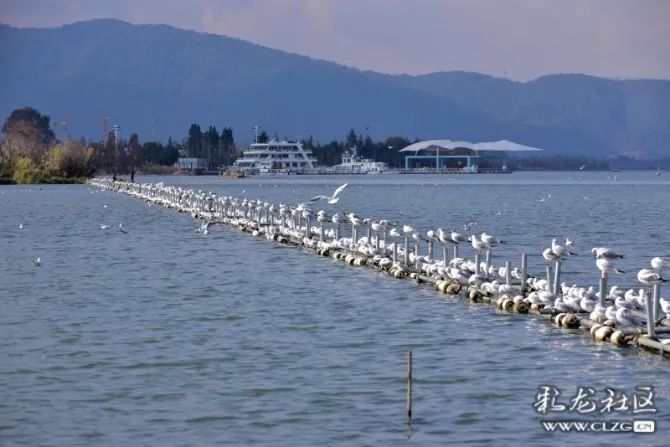 文明昆明