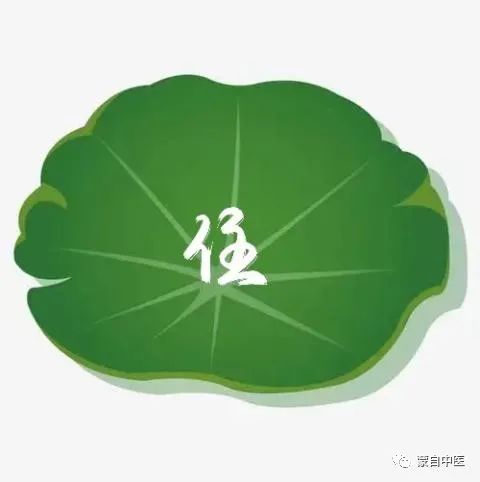 蒙自中医
