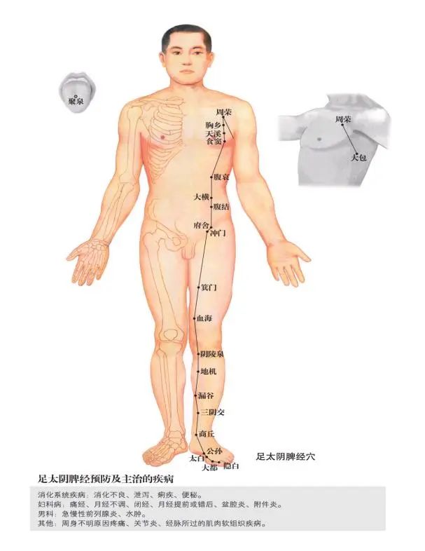 蒙自中医