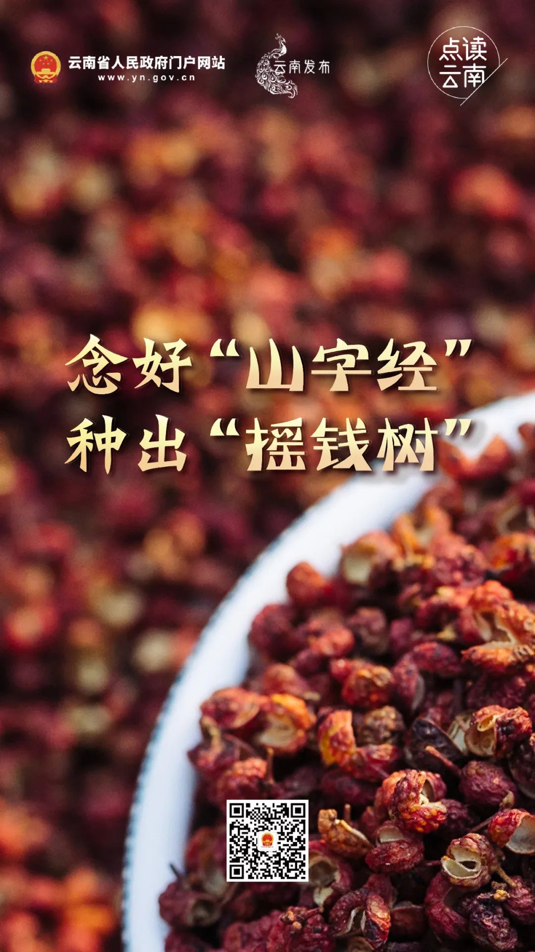 云南省人民政府网