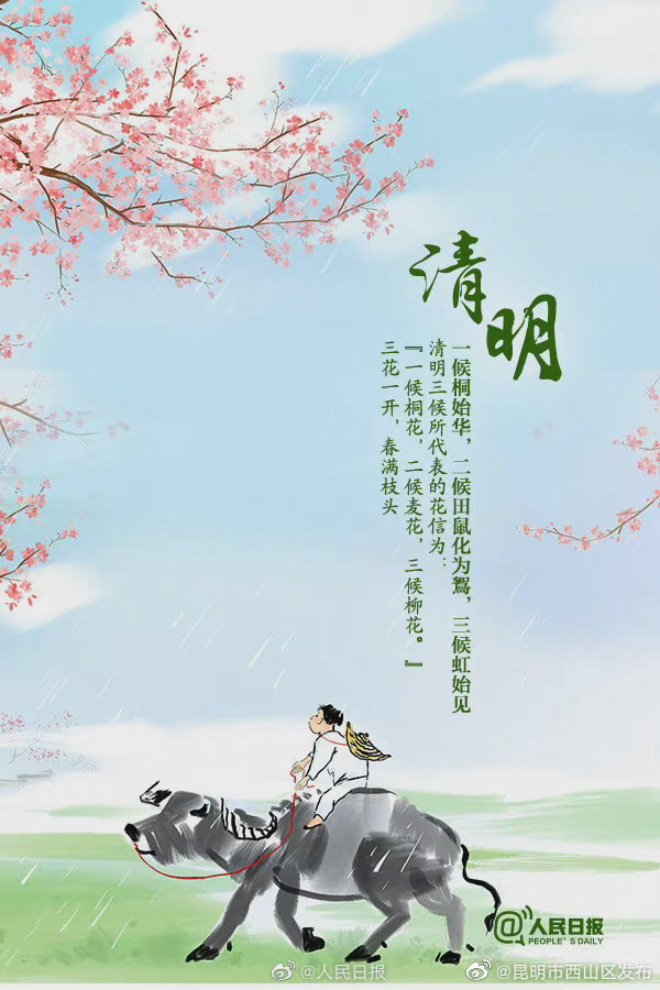 昆明市西山区发布