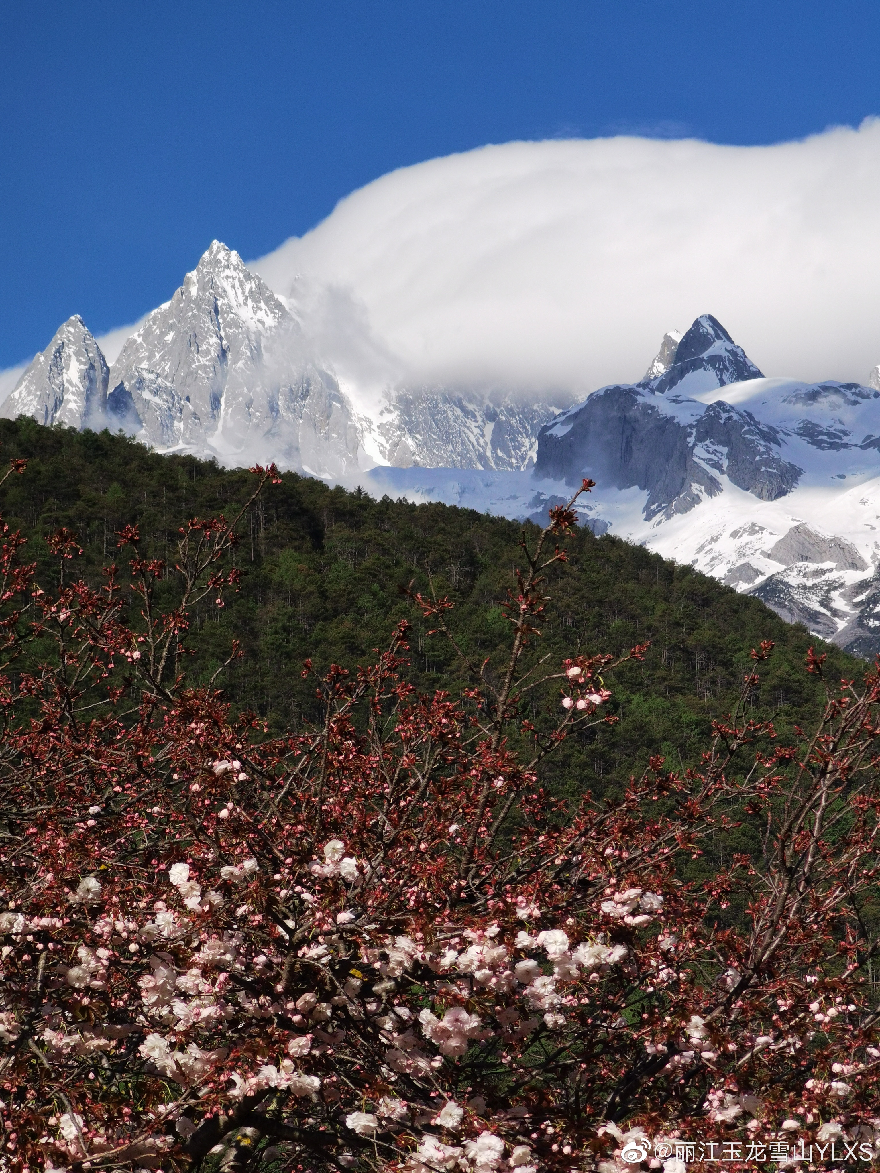 丽江玉龙雪山YLXS微博