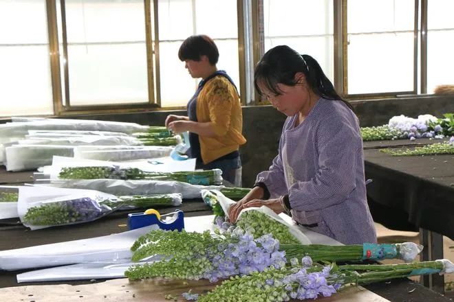 昆明市农业农村局