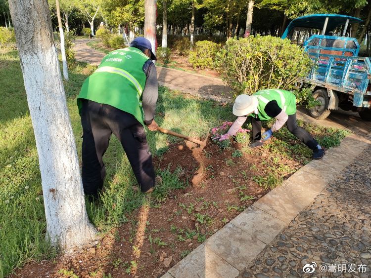 嵩明发布