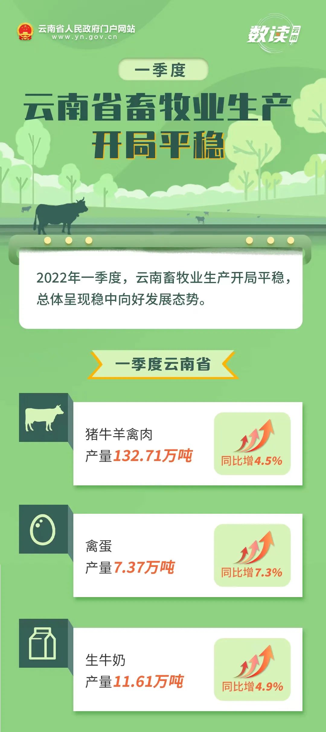 云南省人民政府网