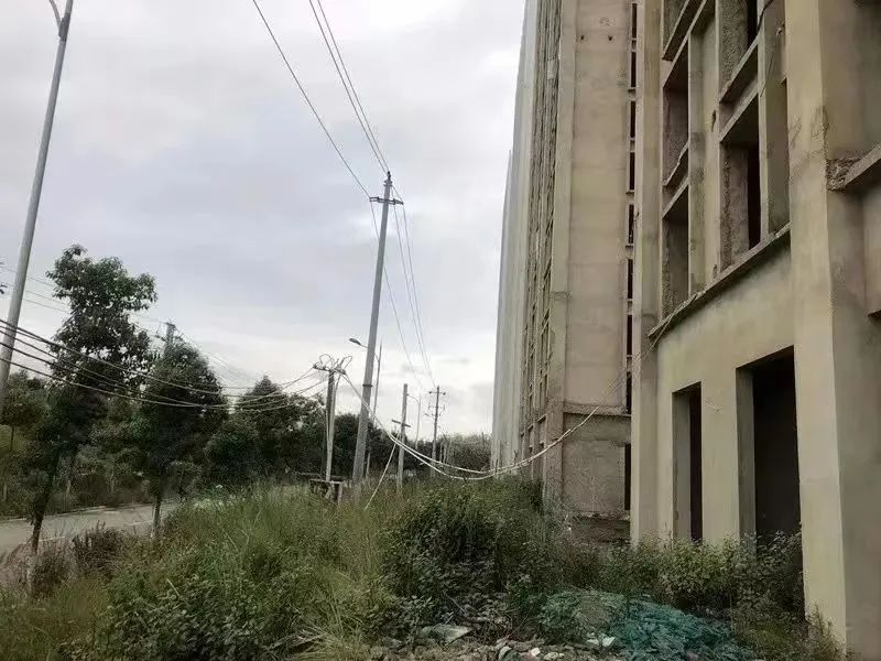 昆明信息港/cnkmxxg