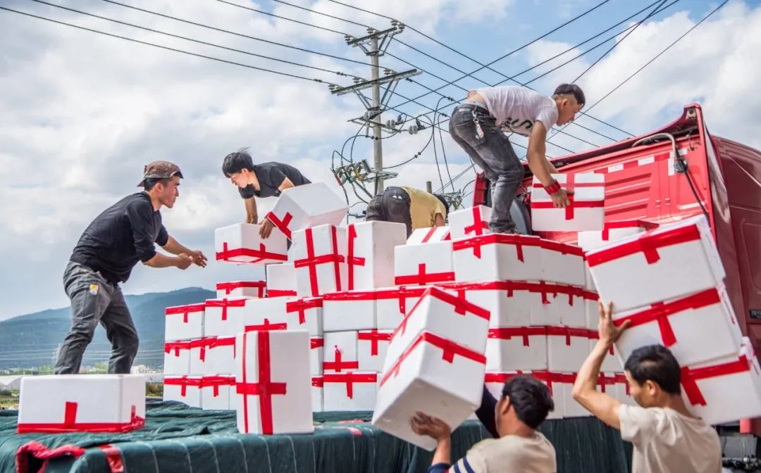 红色扎西