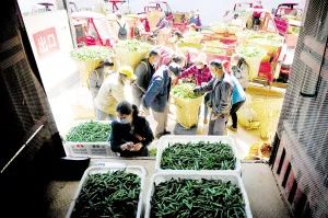 昆明市农业农村局