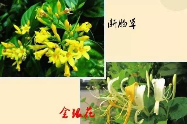 云南疾控
