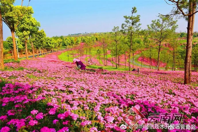 昆明经济技术开发区管委会