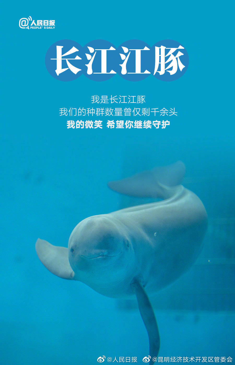 昆明经济技术开发区管委会