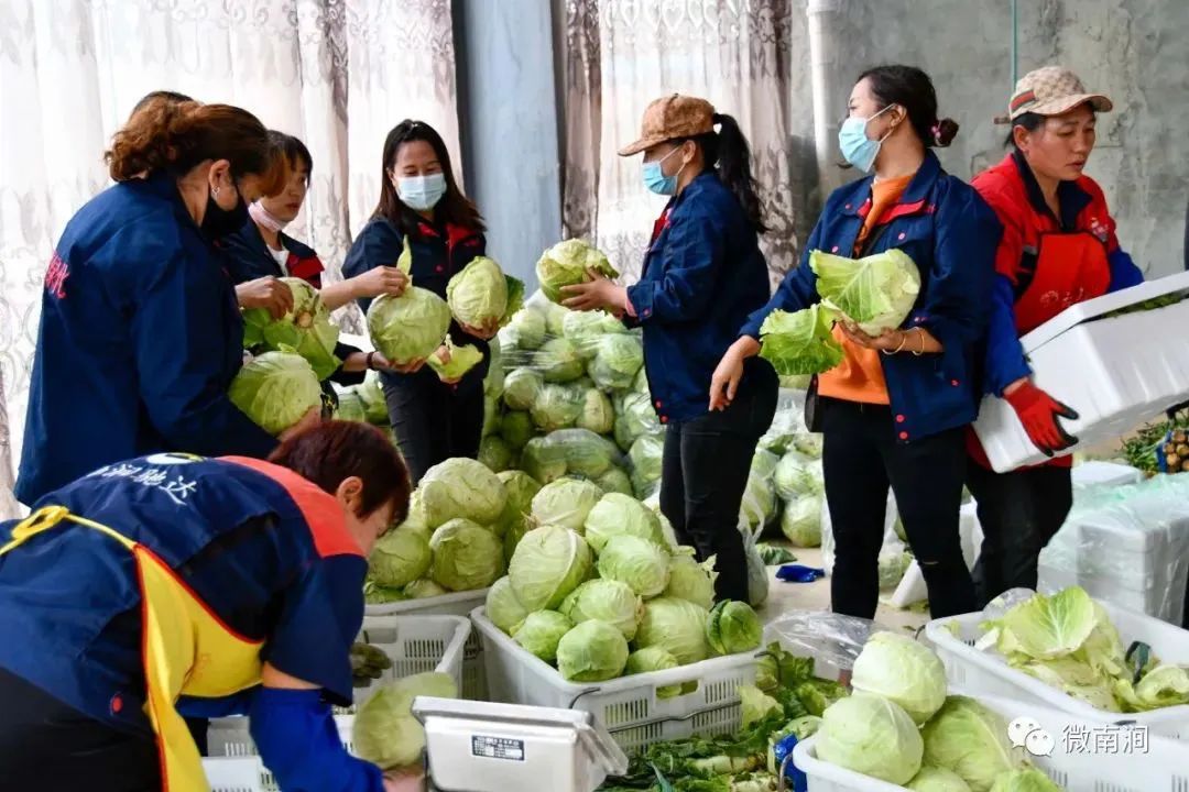 大理电视台