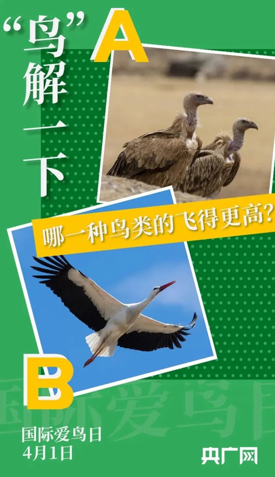 美丽云南微科普