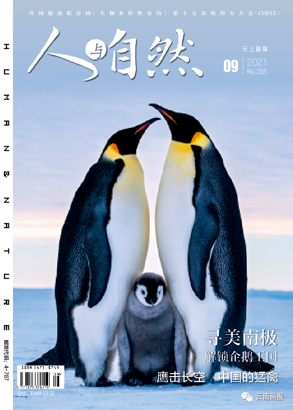 云南信息报