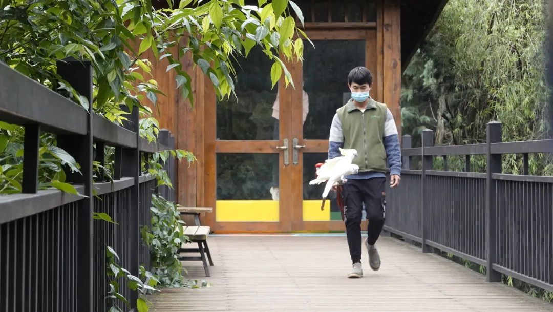 云南野生动物园