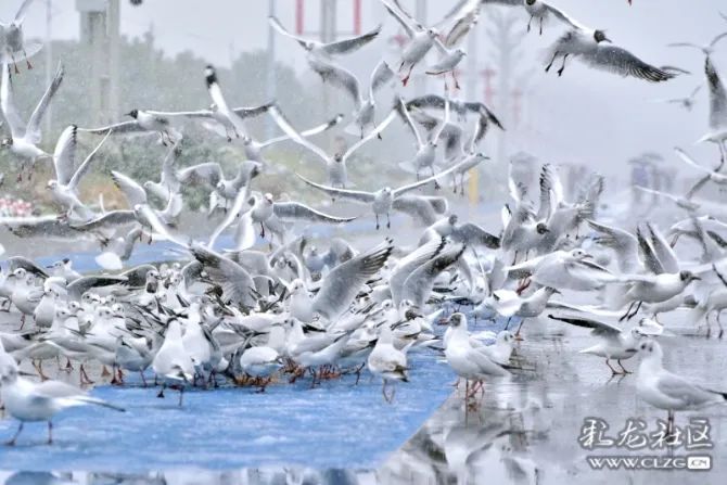 文明昆明
