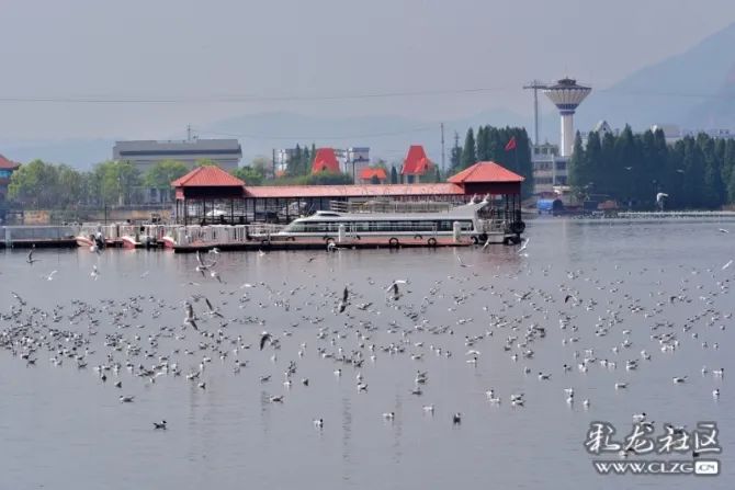 文明昆明