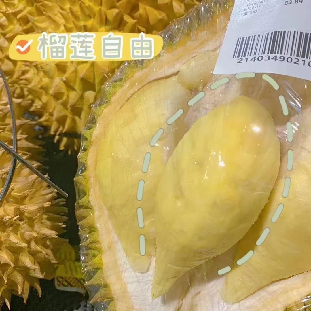 春城晚报
