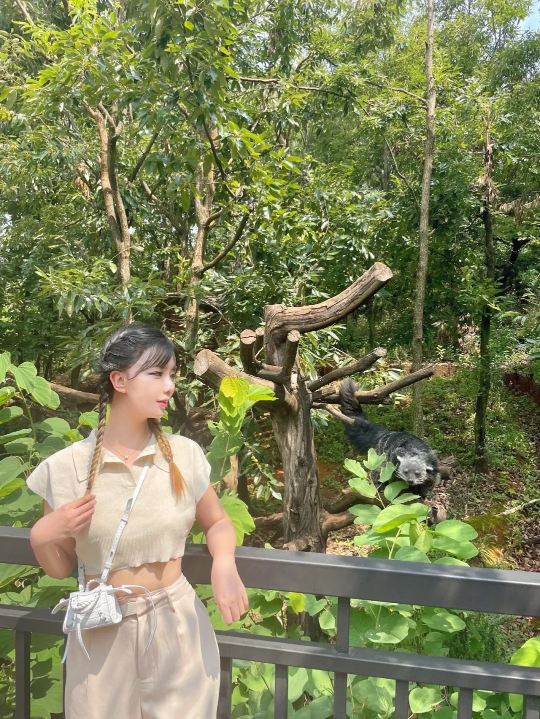 云南野生动物园