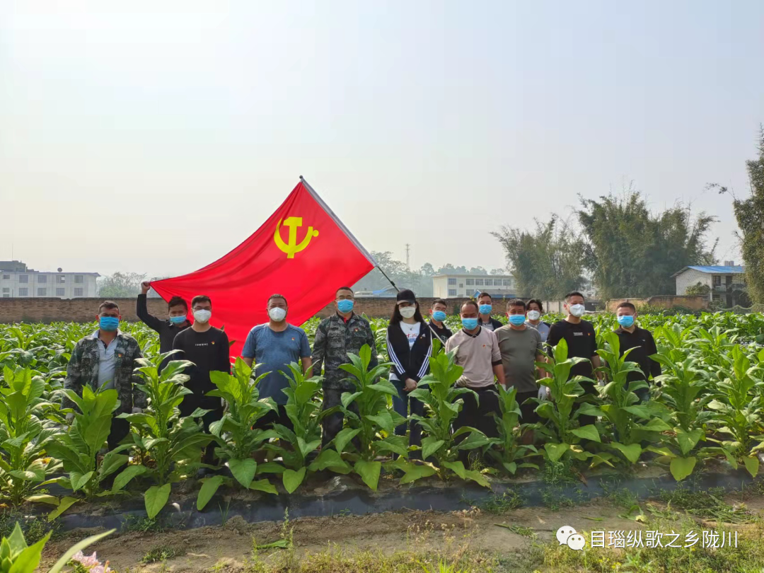 德宏团结报