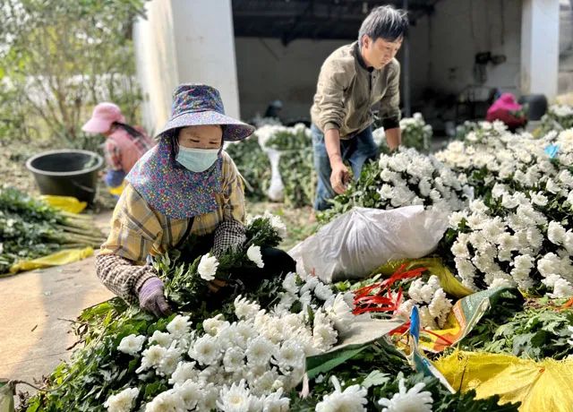 玉溪发布