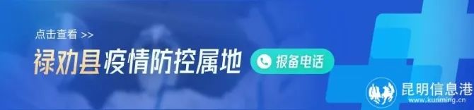 昆明信息港/cnkmxxg