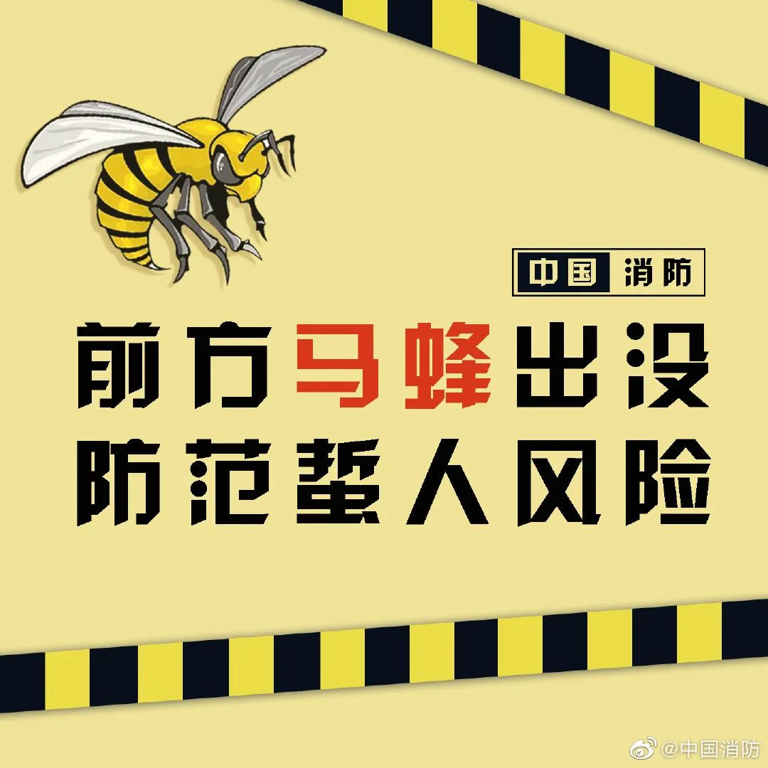 昆明信息港/cnkmxxg