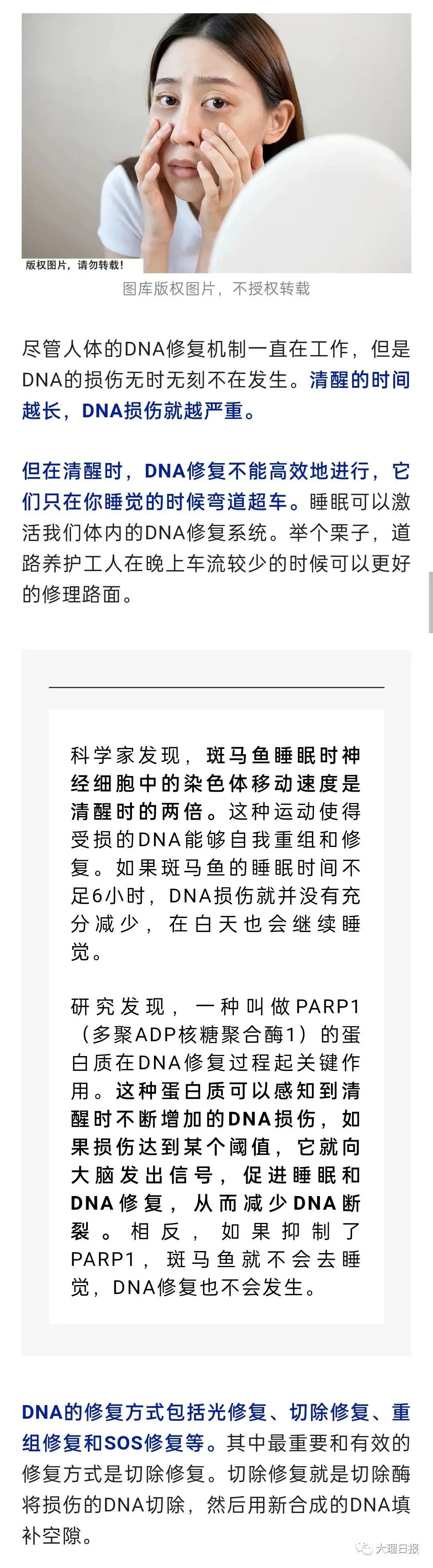 大理日报