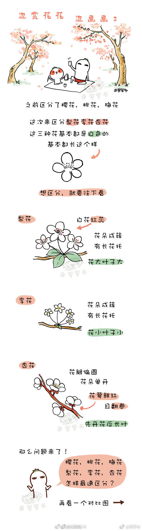 “昆明五华发布”微博