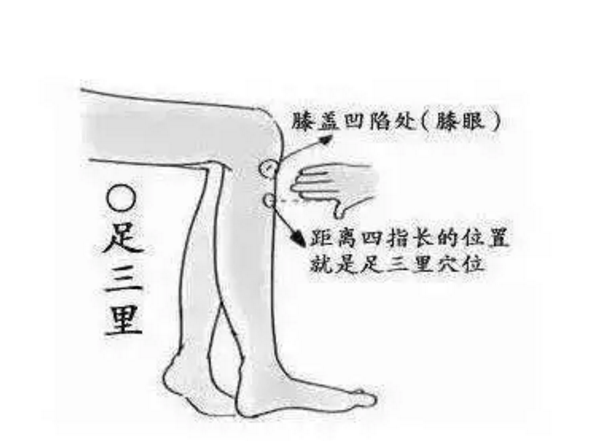 蒙自中医