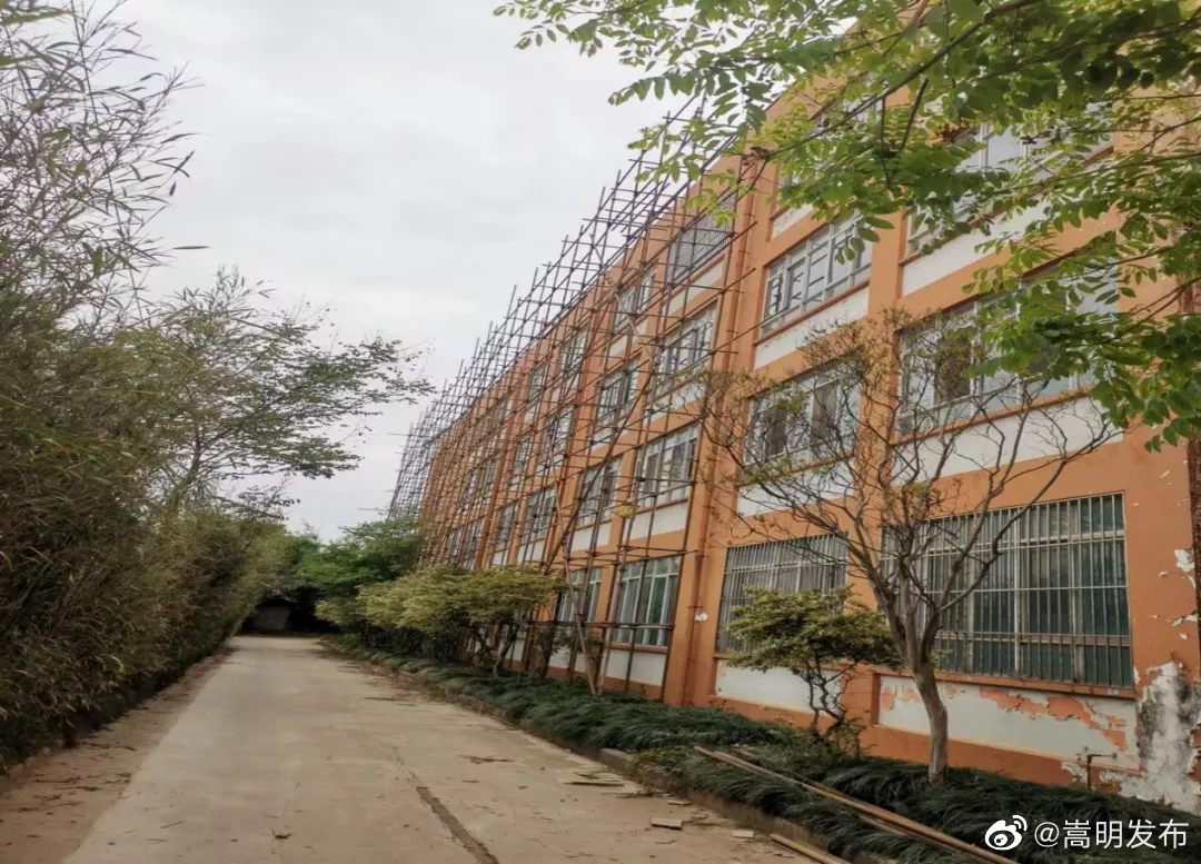 嵩明发布
