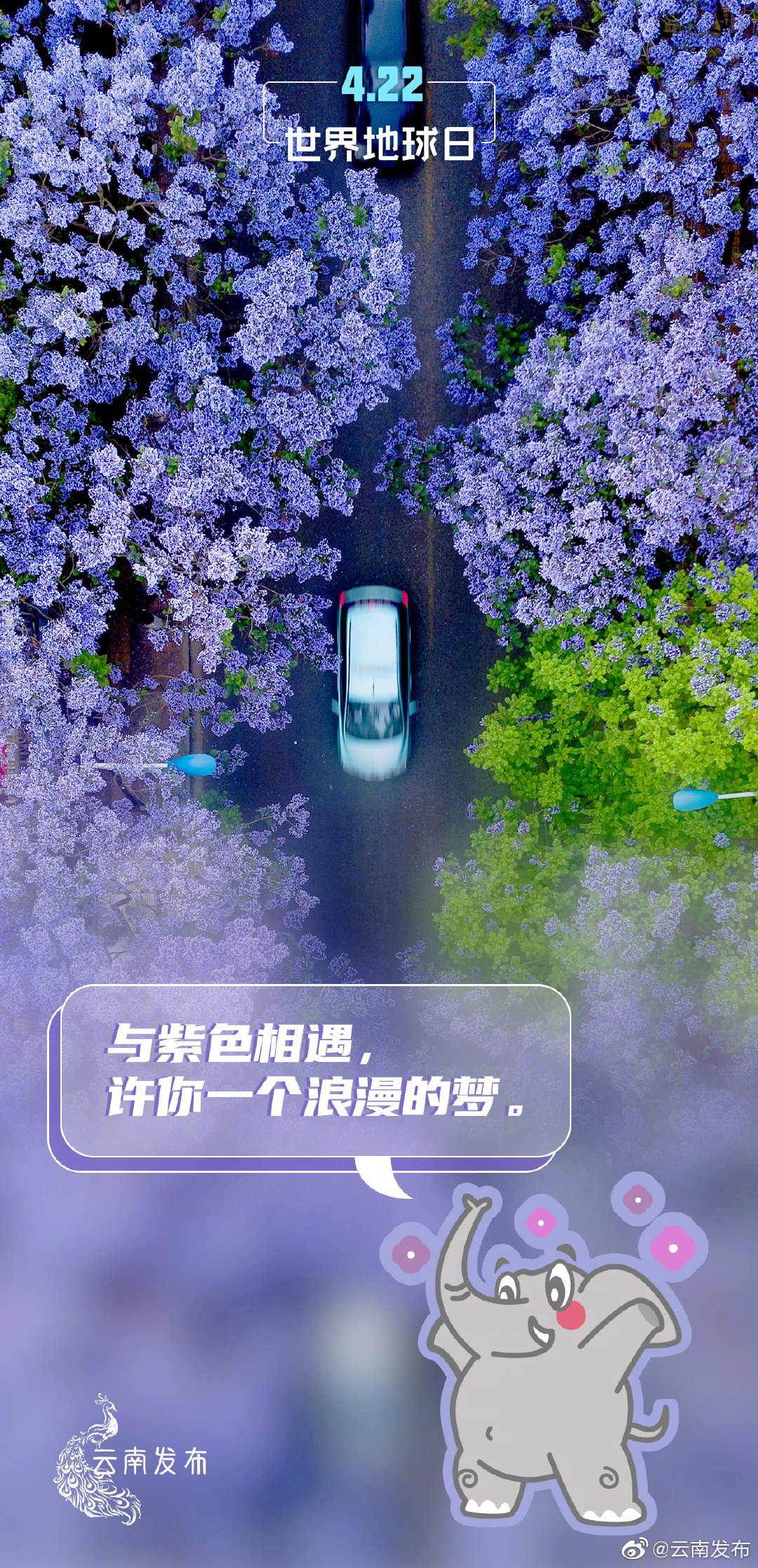 “云南发布”微博